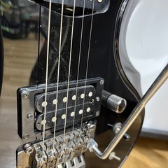 Grass Rootsのエレキギターをご紹介します！の画像