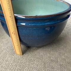 睡蓮鉢の画像