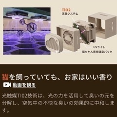 光触媒全自動トイレPet Snow 猫
の画像