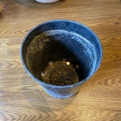 観葉植物用の大きい植木鉢の画像