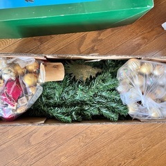 クリスマスツリーの画像