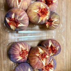 【売り切れ】採れたて 完熟 いちじくの画像