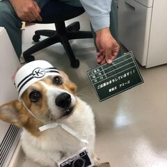 舗装工、外構工事スタッフ、土木作業員/寮完備、日払いOK、未経験者歓迎の画像