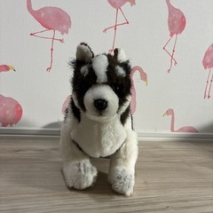 ハンサ　ぬいぐるみ　シベリアンハスキーの画像