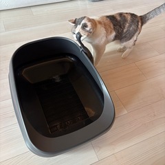 猫　デオトイレ　本体　ハーフカバー　ダークグレーの画像