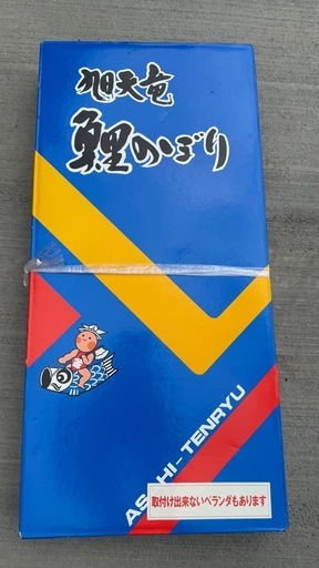 旭天竜　鯉のぼり20号・スタンドセット