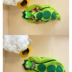 枝豆コスプレ🫛ツマミの赤ちゃんの画像