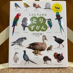 美品⭐︎いきものずかん、とりずかんの画像