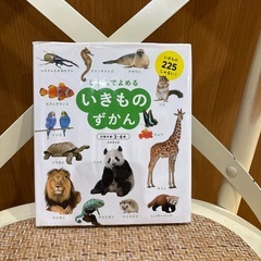 美品⭐︎いきものずかん、とりずかんの画像