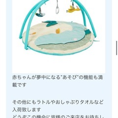 ボーネルンドベビージム　ガチョウのオルガの画像