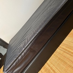 ダブルペットの画像