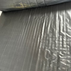 ダブルペットの画像