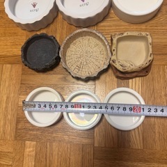 爬虫類 餌皿 水入れ セットの画像
