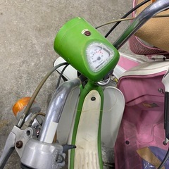 ユーディーミニの画像