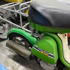ユーディーミニの画像