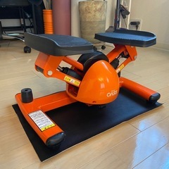 ツイストステッパーの画像