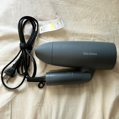 ドライヤー (SALONIA）の画像