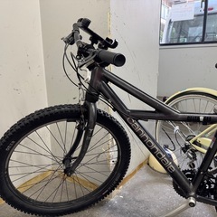 CANNONDALE DELTA V 600の画像