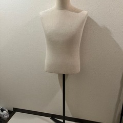 メンズ　半身
トルソーの画像