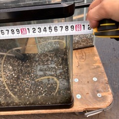 水槽の画像