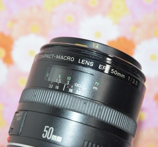 美品❤Canon EF 50mm F2.5 キャノン❤超便利単焦点レンズ❤