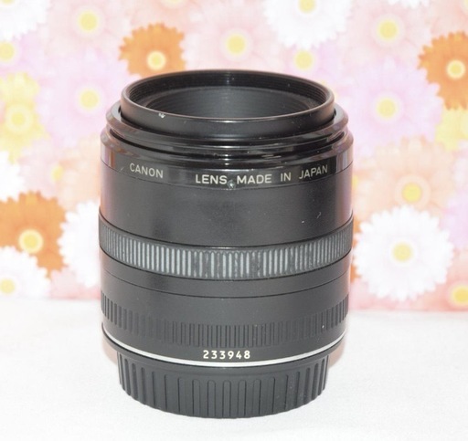 美品❤Canon EF 50mm F2.5 キャノン❤超便利単焦点レンズ❤