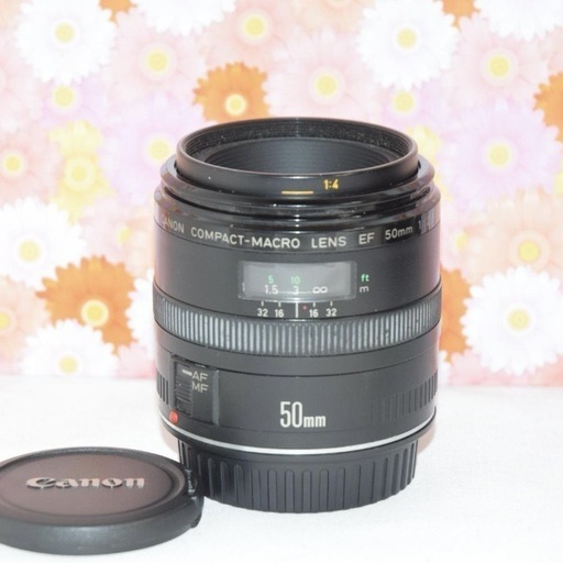 美品❤Canon EF 50mm F2.5 キャノン❤超便利単焦点レンズ❤
