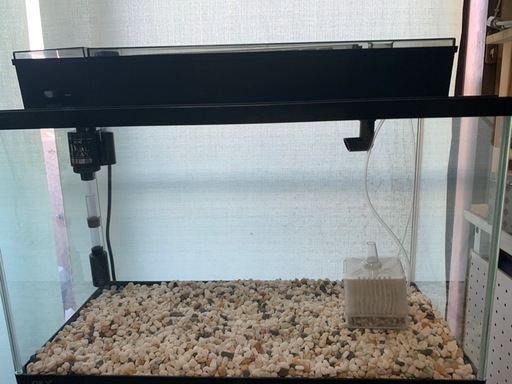 GEXデュアルクリーン600水槽セット