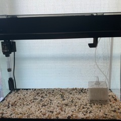 GEXデュアルクリーン600水槽セット の画像