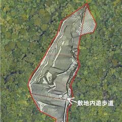 大磯磯町生沢山林 2ヘクタール超 販売中　果樹や樹木を栽培し林家...