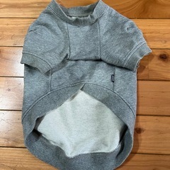 犬の服の画像