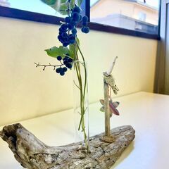 流木インテリア　の画像
