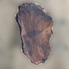 天然木　花台　切り株　一枚板の画像