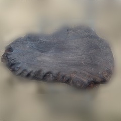 天然木　花台　切り株　一枚板の画像