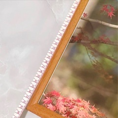 カワセミ メス成鳥 紅葉 紅葉 4k写真 額縁付きの画像