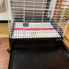うさぎ、フェレット、ケージ
の画像