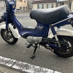 シャリー50の画像