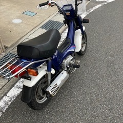 シャリー50の画像