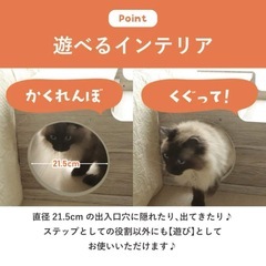 ペットステップ　ドッグステップ　階段の画像
