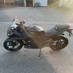ニンジャ300　Ninja300の画像