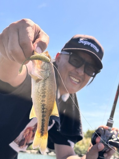 琵琶湖バス釣りがガイド