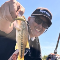 琵琶湖バス釣りがガイドの画像