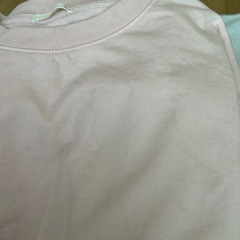 秋服　薄ピンクのロンTの画像