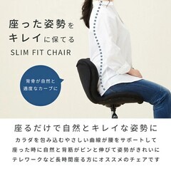 ドウシシャ 美姿勢を保つデスクチェア(黒)の画像