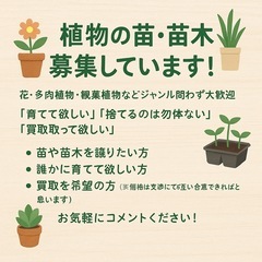 花、多肉植物、観葉植物、木、苗全般などください