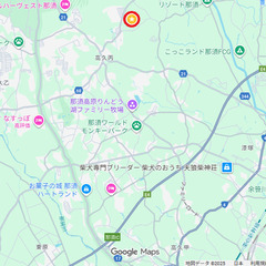 栃木県那須町の山林　４０３㎡　４０万円