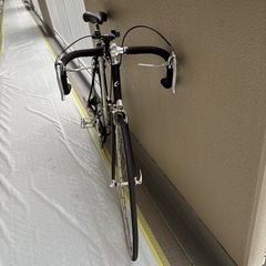 calamita due カラミータデュエ クロモリロードバイクの画像