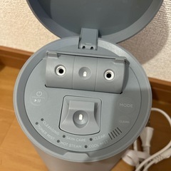 サロニア　スチーマーの画像