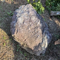 庭石の画像