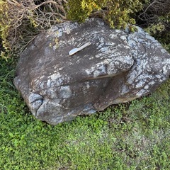 庭石の画像